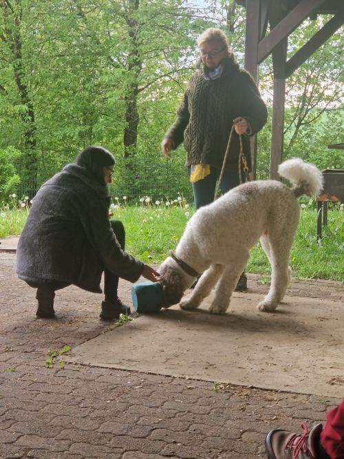 Sommerkurs 2024 Bild 25 TRAINING SACRED DOG