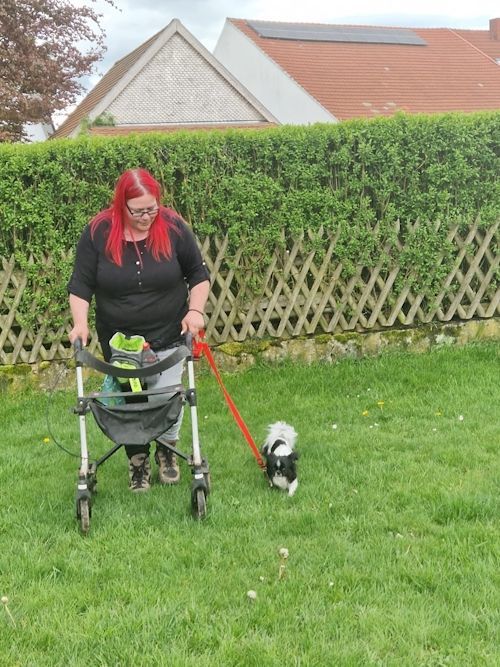 Sommerkurs 2024 Bild 29 TRAINING SACRED DOG