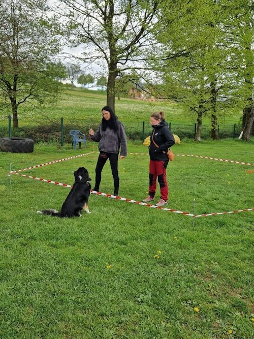 Sommerkurs 2024 Bild 36 TRAINING SACRED DOG