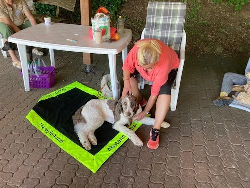 Sommerkurs 2024 Bild 41 TRAINING SACRED DOG