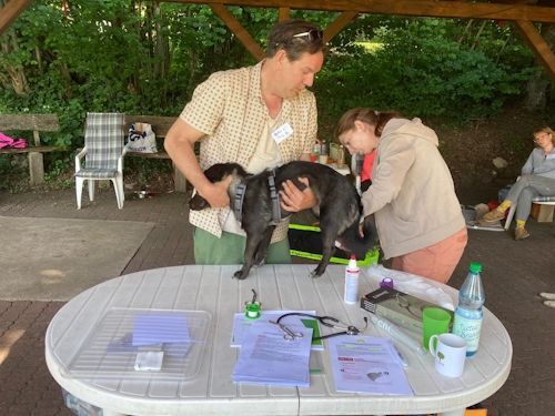 Sommerkurs 2024 Bild 39 TRAINING SACRED DOG