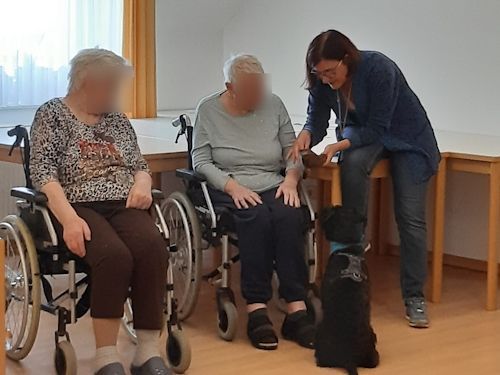 Sommerkurs 2024 Bild 44 TRAINING SACRED DOG