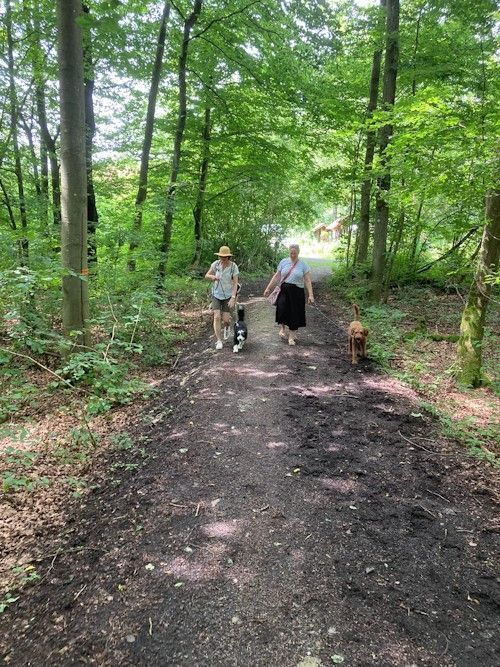 Winter 2023/2024 TRAINING SACRED DOG Bild 27