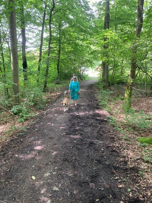 Winter 2023/2024 TRAINING SACRED DOG Bild 28