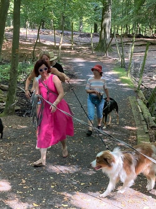 Sommerkurs 2024 Bild 74 TRAINING SACRED DOG