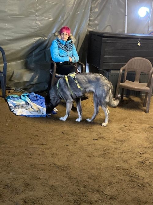 Winterkurs 204/2025 Bild 9 TRAINING SACRED DOG