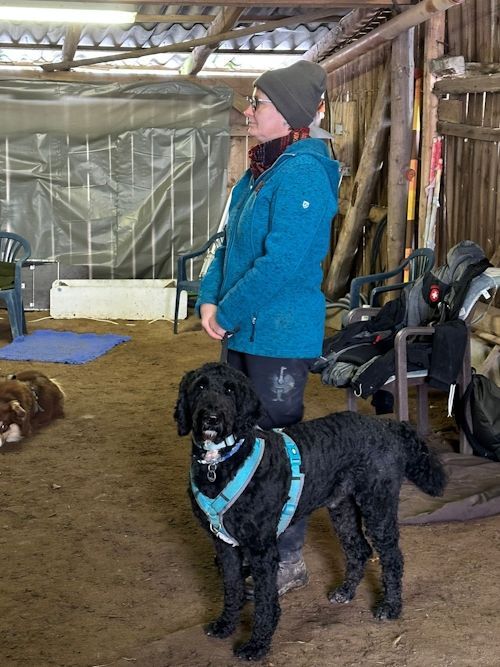 Winterkurs 204/2025 Bild 7 TRAINING SACRED DOG