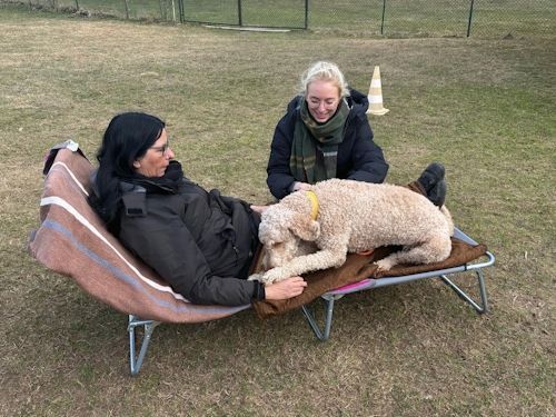 Winterkurs 204/2025 Bild 91 TRAINING SACRED DOG