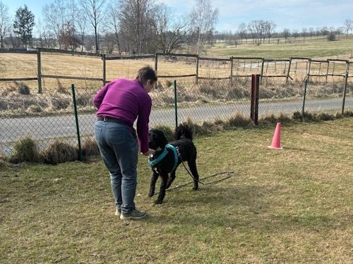 Winterkurs 204/2025 Bild 84 TRAINING SACRED DOG