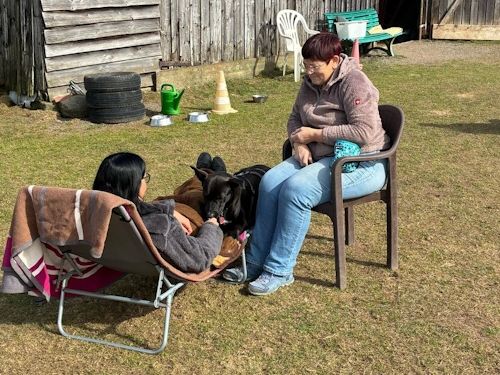 Winterkurs 204/2025 Bild 79 TRAINING SACRED DOG