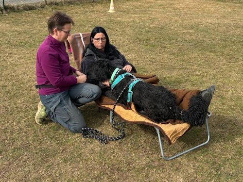 Winterkurs 204/2025 Bild 74 TRAINING SACRED DOG