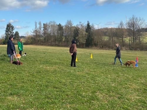 Sommerkurs 2025 TRAINING SACRED DOG Teilnehmende Menschen und Hunde Bild 2