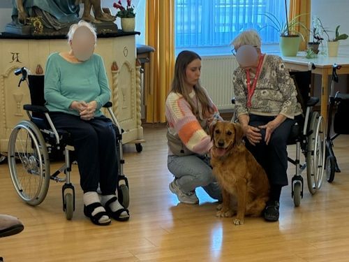 Winterkurs 204/2025 Bild 99 TRAINING SACRED DOG