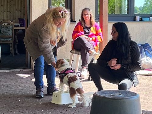 Sommerkurs 2025 TRAINING SACRED DOG Teilnehmende Menschen und Hunde Bild 14