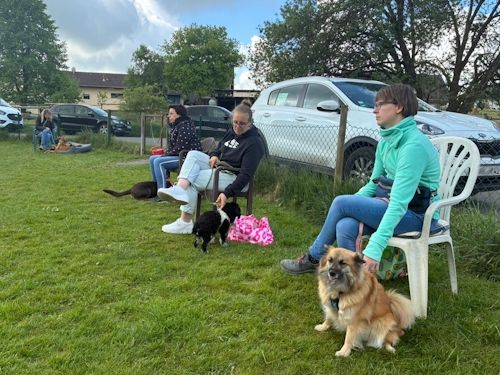 Sommerkurs 2025 TRAINING SACRED DOG Teilnehmende Menschen und Hunde Bild 32