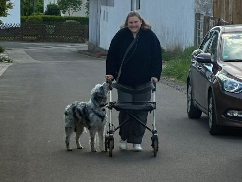 Sommerkurs 2025 TRAINING SACRED DOG Teilnehmende Menschen und Hunde Bild 28