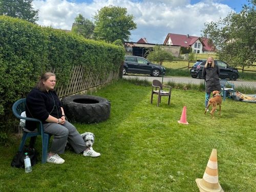 Sommerkurs 2025 TRAINING SACRED DOG Teilnehmende Menschen und Hunde Bild 27