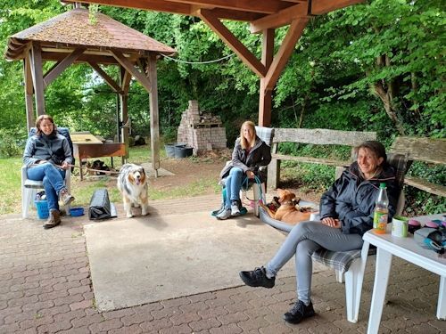 Sommerkurs 2025 TRAINING SACRED DOG Teilnehmende Menschen und Hunde Bild 18