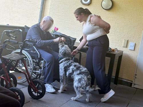 Sommerkurs 2025 TRAINING SACRED DOG Teilnehmende Menschen und Hunde Bild 35