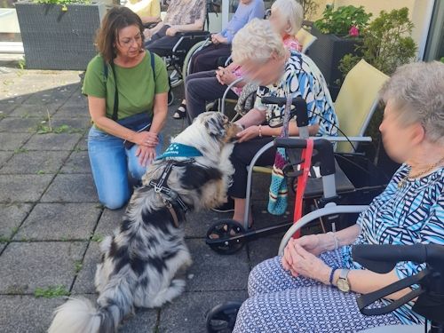 Sommerkurs 2025 TRAINING SACRED DOG Teilnehmende Menschen und Hunde Bild 38