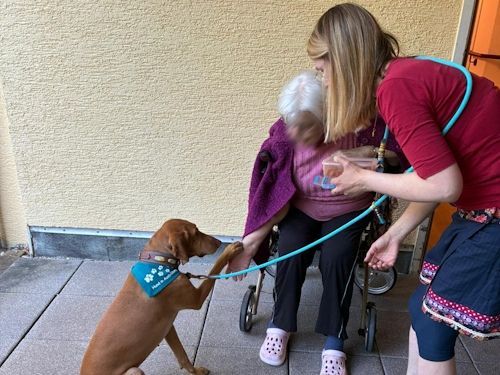 Sommerkurs 2025 TRAINING SACRED DOG Teilnehmende Menschen und Hunde Bild 39