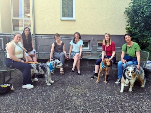 Sommerkurs 2025 TRAINING SACRED DOG Teilnehmende Menschen und Hunde Bild 42
