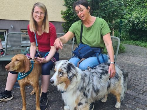 Sommerkurs 2025 TRAINING SACRED DOG Teilnehmende Menschen und Hunde Bild 41