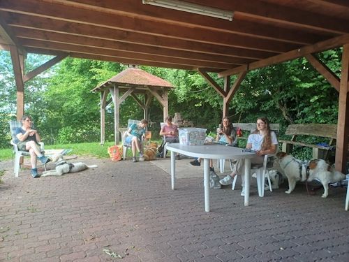 Sommerkurs 2025 TRAINING SACRED DOG Teilnehmende Menschen und Hunde Bild 59