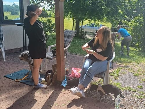 Sommerkurs 2025 TRAINING SACRED DOG Teilnehmende Menschen und Hunde Bild 60