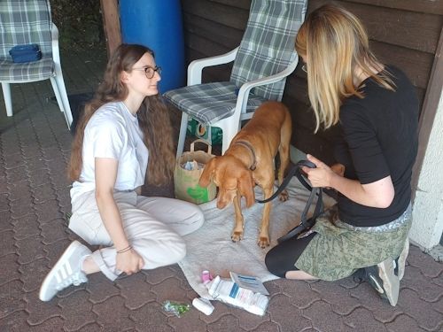 Sommerkurs 2025 TRAINING SACRED DOG Teilnehmende Menschen und Hunde Bild 55