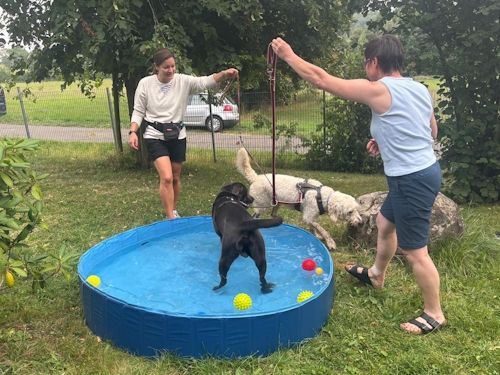 Sommerkurs 2025 TRAINING SACRED DOG Teilnehmende Menschen und Hunde Bild 70