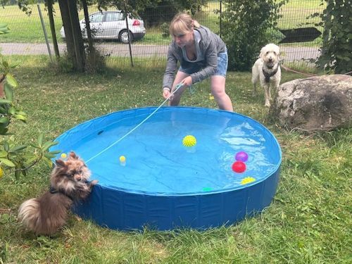 Sommerkurs 2025 TRAINING SACRED DOG Teilnehmende Menschen und Hunde Bild 64