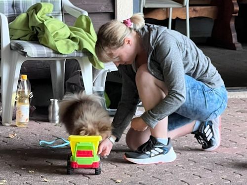 Sommerkurs 2025 TRAINING SACRED DOG Teilnehmende Menschen und Hunde Bild 69