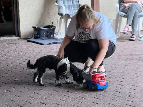 Sommerkurs 2025 TRAINING SACRED DOG Teilnehmende Menschen und Hunde Bild 66