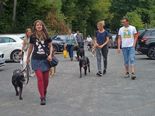 Winterkurs 204/2025 Bild 101 TRAINING SACRED DOG