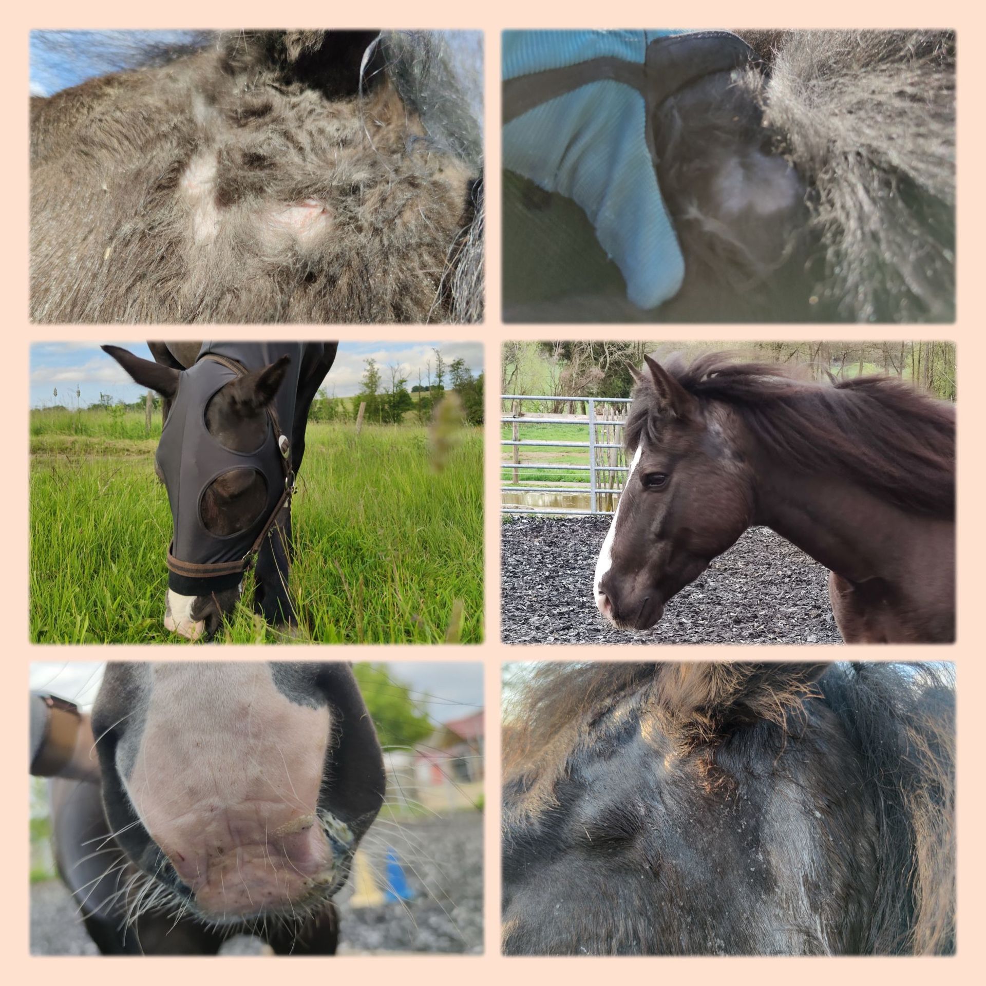 Erfahrungsbericht mit Buddy