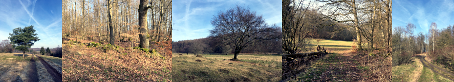 Workshops Workshops, Stressreduktion, Glückswanderung, Achtsamkeit, Entspannt durch die Prüfung