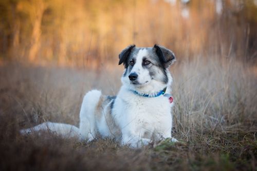 Bild von Hannah - liegend