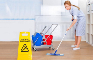 limpieza de pisos, chalets, locales, Empresa de Mudanzas Torres Madrid Portes Nacionales Baratos económicas precios profesionales guardamuebles baratos particulares montaje desmontaje furgonetas camiones Mostoles Alcorcon Alcobendas Getafe Leganes Pinto Parla