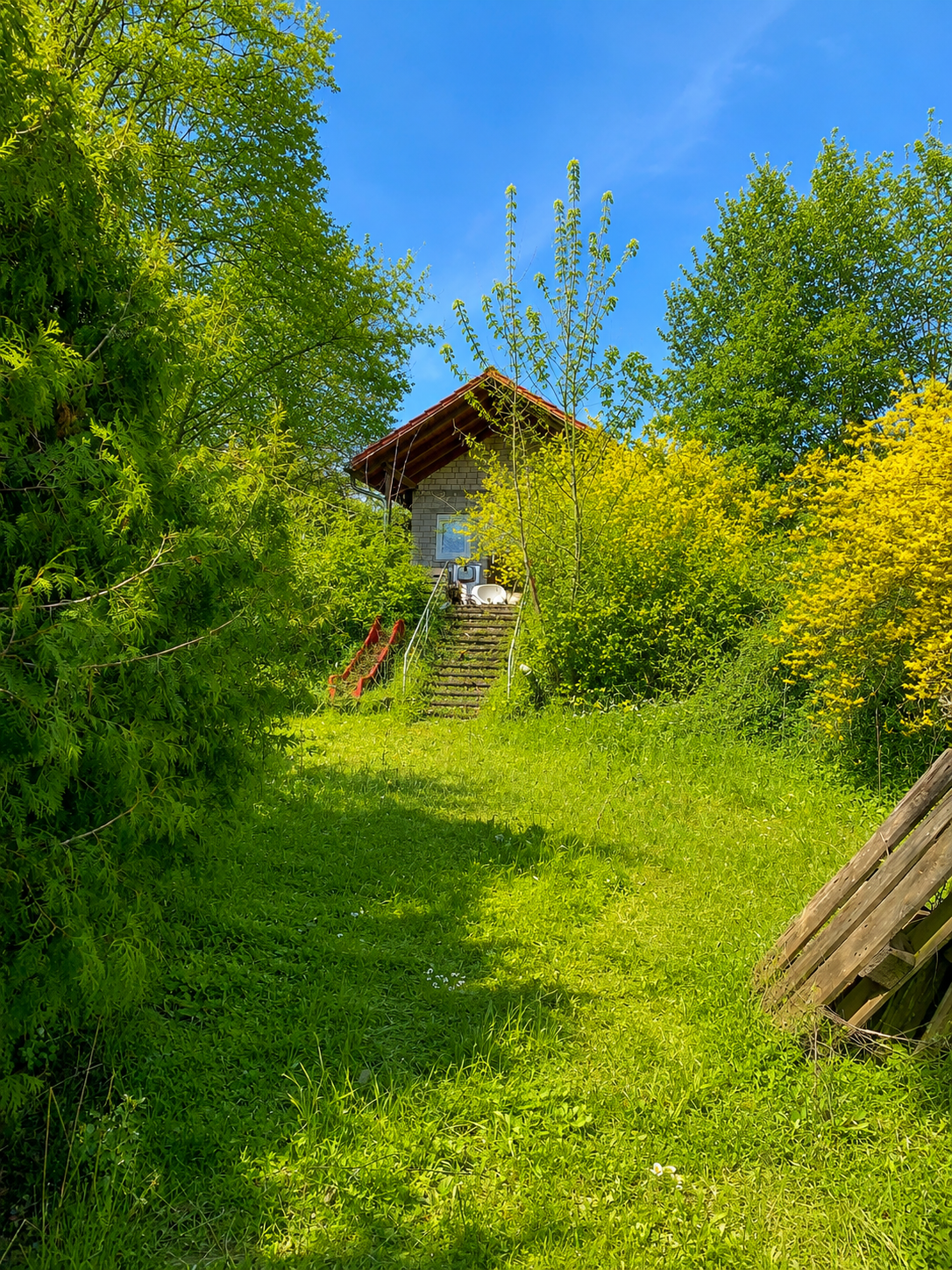 Haus kaufen, Haus verkaufen, Immobilie kaufen, Immobilie verkaufen, Wohnung kaufen, Wohnung verkaufen, Immobilienmakler, Immobilienmakler Mittelfranken, Immobilienmakler Oberfranken, Immobilienmakler Oberpfalz, Sanierungsobjekt, Handwerker, Einfamilienhaus, Alleinlage, Engel und Völkers, von Poll, Sollmann und Zagel, Dächer über Köpfe, Schweidler Immobilien, Schaller, Alexander Groß