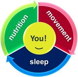 Whol Healthy You