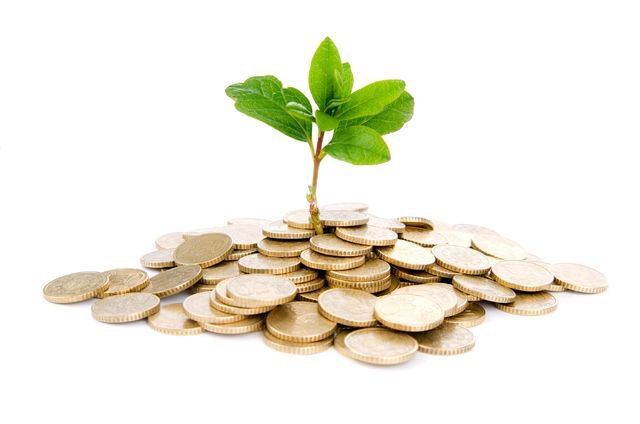 Baum für geringes Endgeld Preis für PC Computer Telefon Internet Service
