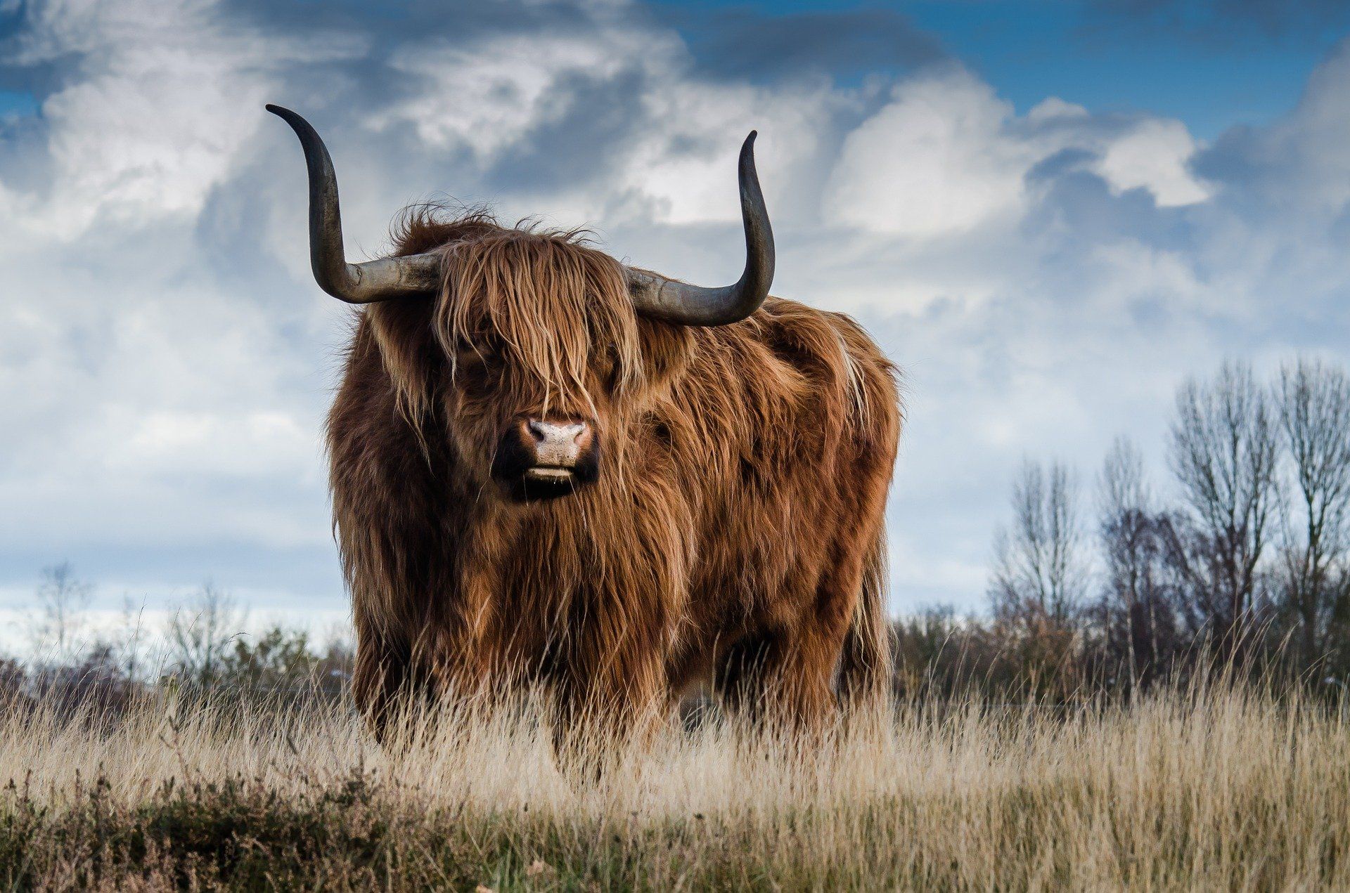 Tierkreiszeichen Stier Ausdauer Stabilität Horoskop