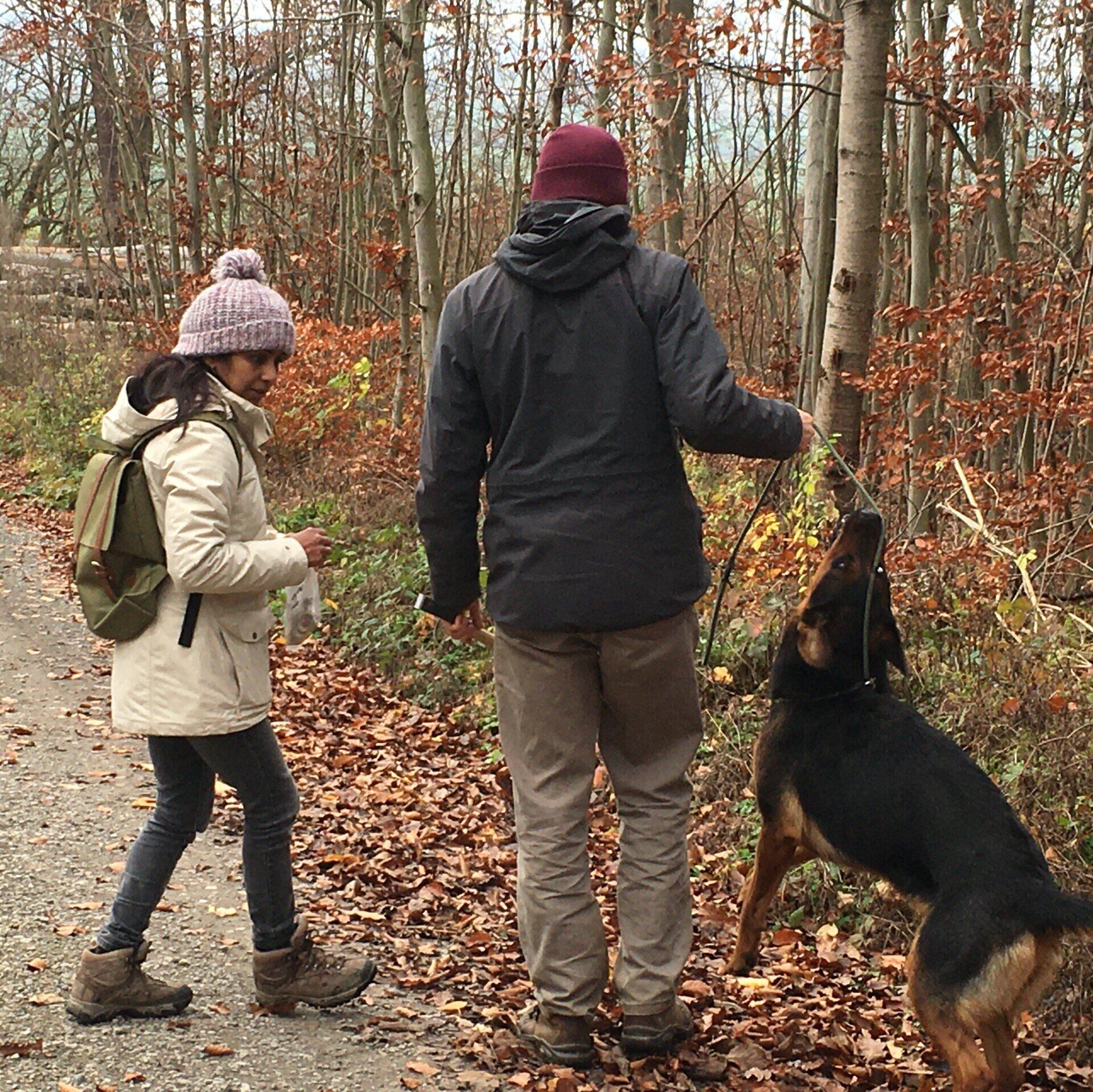 Trüffel Suchtraining für Abhi und Raffael aus Münster mit Shanti