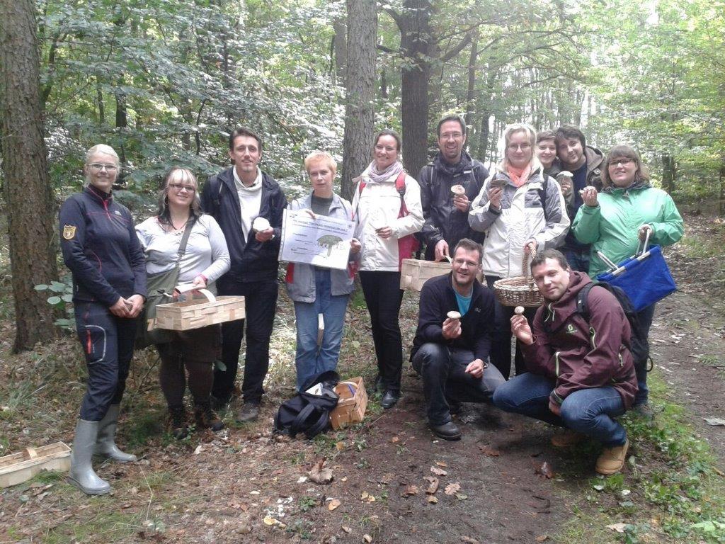 Pilzbestimmung - Ausbildung in Gruppen