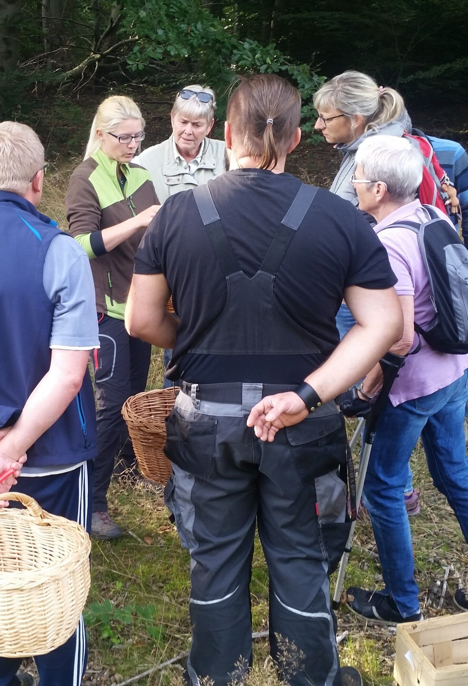 Die Erkennungsmerkmale der wichtigsten Speisepilze werden auf geführten Lehrwanderungen erklärt