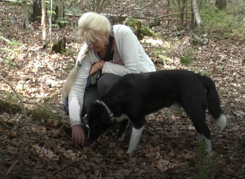 Frau sucht Trüffel mit Hund