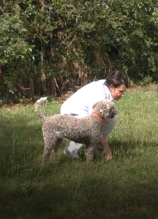 Der Hund hat angezeigt - der Hundeführer übernimmt