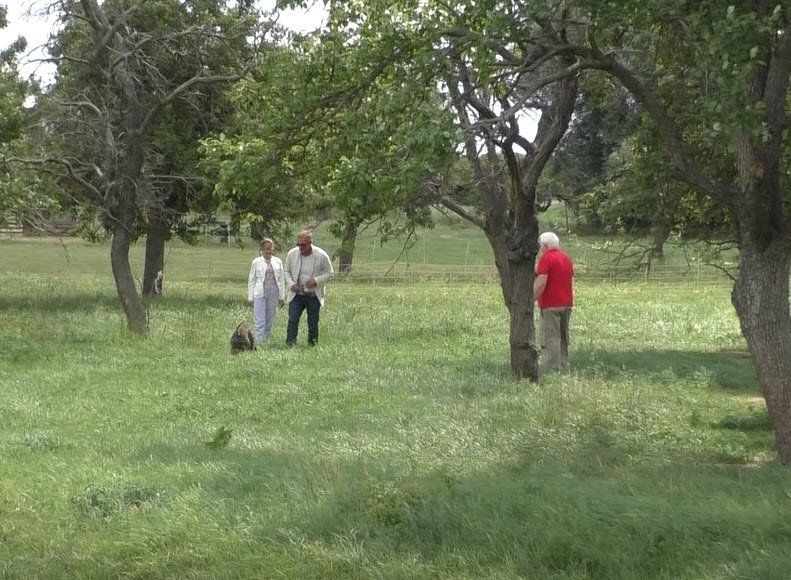 Trüffelpapst hilft bei der Hundeführerausbildung