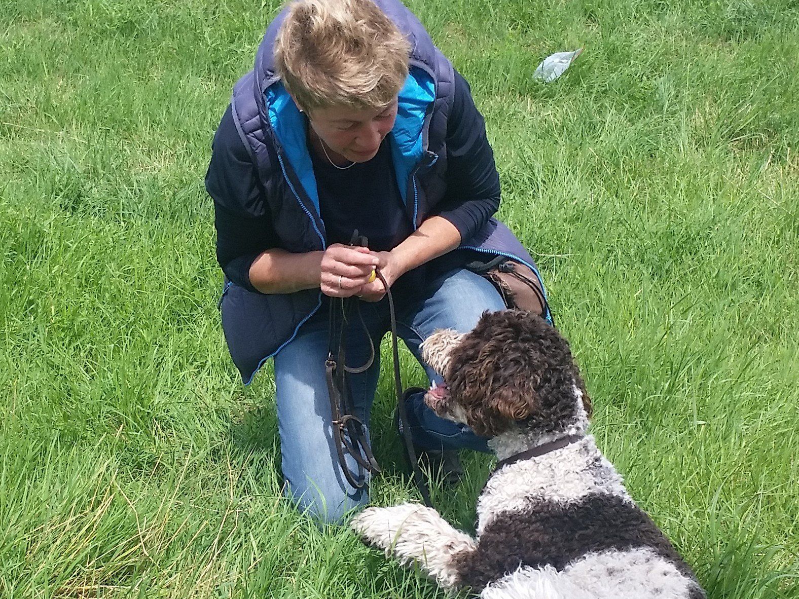 Frau lobt Hund für sein Verhalten